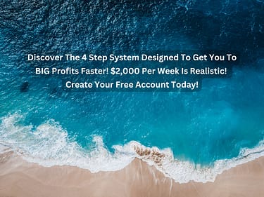 2K Profit System
